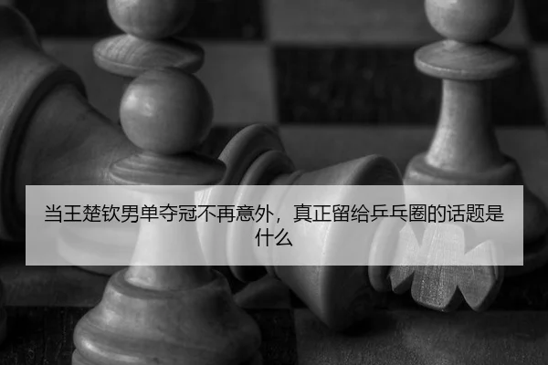 dang-wang-chu-qin-nan-dan-duo-guan-bu-zai-yi-wai-zhen-zheng-liu-gei-ping-pang-quan-de-hua-ti-shi-shen-me-2-517.jpg